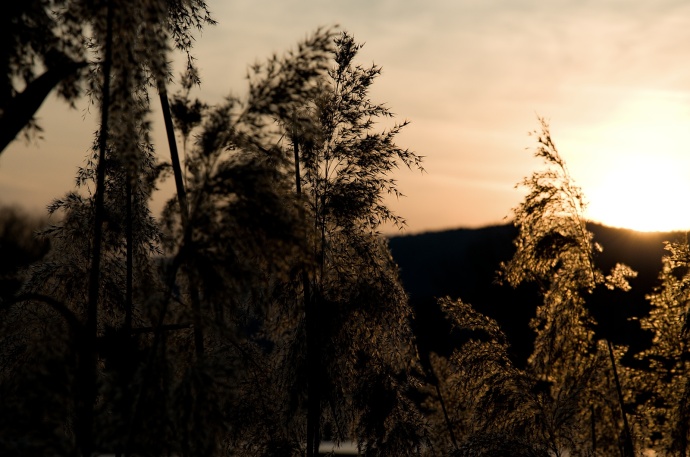 Auf der einen Seite Schatten, auf der anderen Licht der untergehenden Sonne. Ein wunderschönes, melancholisch angehauchtes Foto. Autor: Zdeněk Minařík