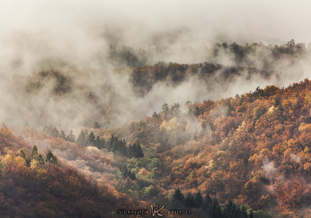 Canon 5D Mark II, Canon EF 70–200//2,8 II IS, 1/400 s, f/8, ISO 100, Brennweite 165 mm