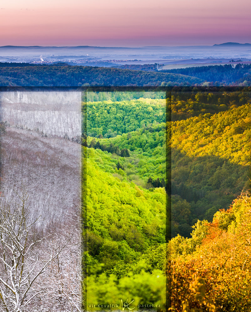 Ein Landschaftsbild zusammengestellt aus verschiedenen Jahreszeiten, die aneinander anknüpfen. Leider waren die Unterschiede so scharf, dass die Collage besser mit kleinen „Übergangspassagen“ aussieht.