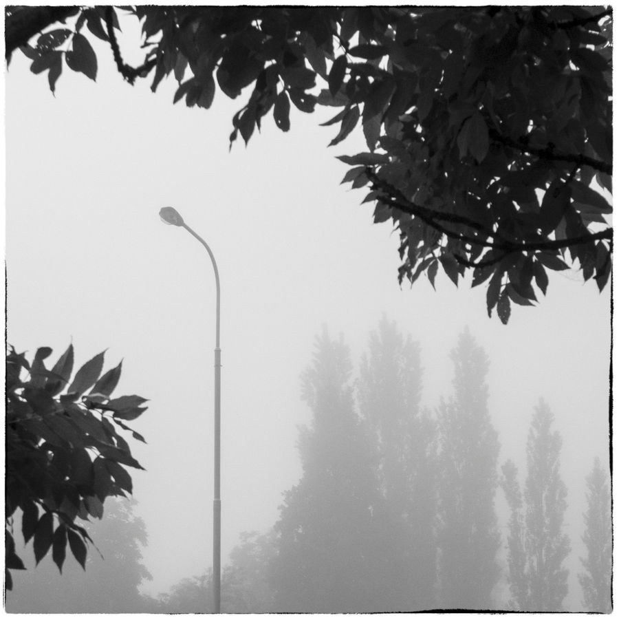 Panasonic Lumix DMC-LX 3, 1/640 s, f/3.5, ISO 80, Brennweite 12,8 mm (umgerechnet 60 mm) Ein minimalistisches Foto, das den wirkungsvollen Morgennebel ausnutzt. Anhand des Nebels wird die Räumlichkeit des Bildes zum Ausdruck gebracht. Die Äste des Baumes als Elemente im Vordergrund rahmen das Foto passend ein.