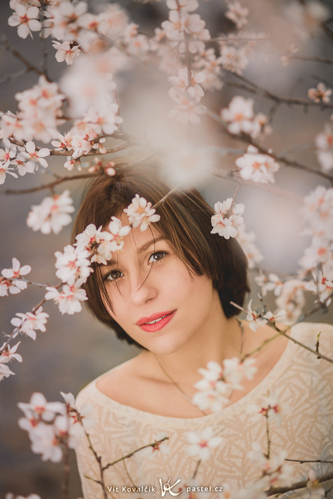 Blühende Bäume im Frühling. Canon 5D Mark III, Canon EF 85/1.8, 1/100 s, f/1.8, ISO 200, Brennweite 85 mm