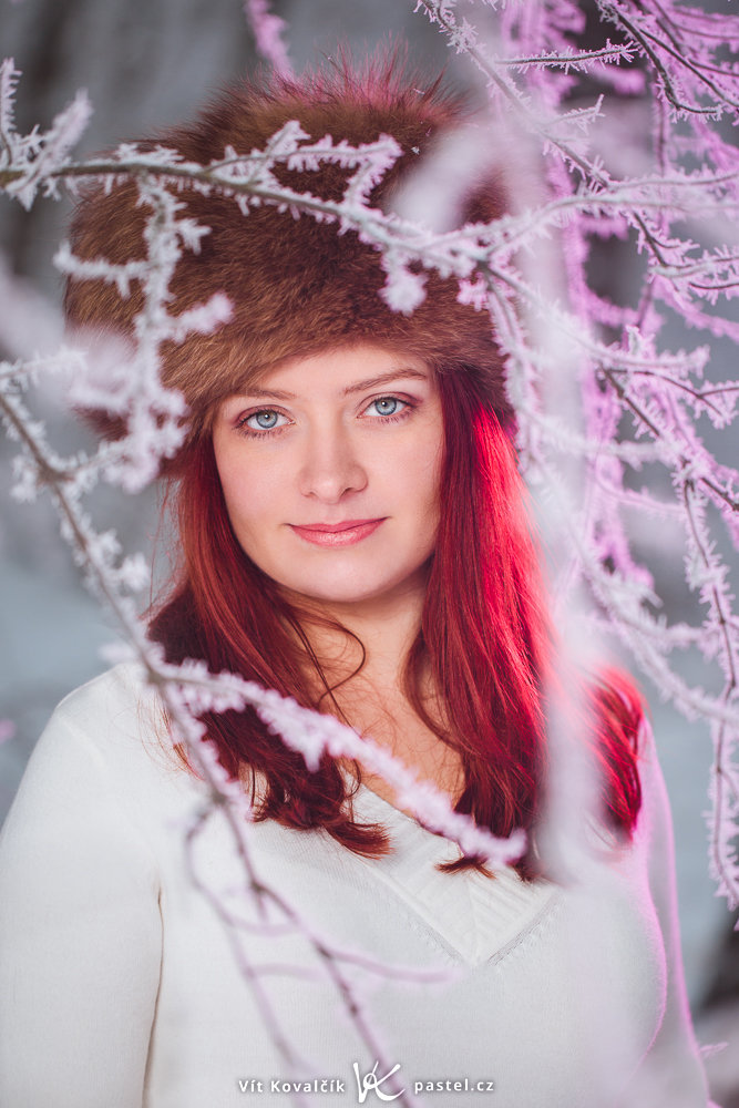 Auch vereiste Ästchen im Winter können eindrucksvoll aussehen. Canon 5D Mark III, Canon EF 70-200/2.8 II, 1/200 s, f/2.8, ISO 100, Brennweite 100 mm