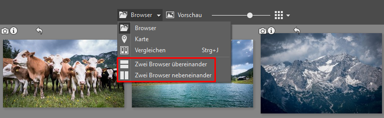 Durch ziehen mit der Maus von einem Browser-Fenster in das andere, können Sie Bilder auf Zonerama hochladen. Die Ansicht von zwei Browsern aktivieren Sie über Browser und wählen eine der Darstellungsmöglichkeiten aus.