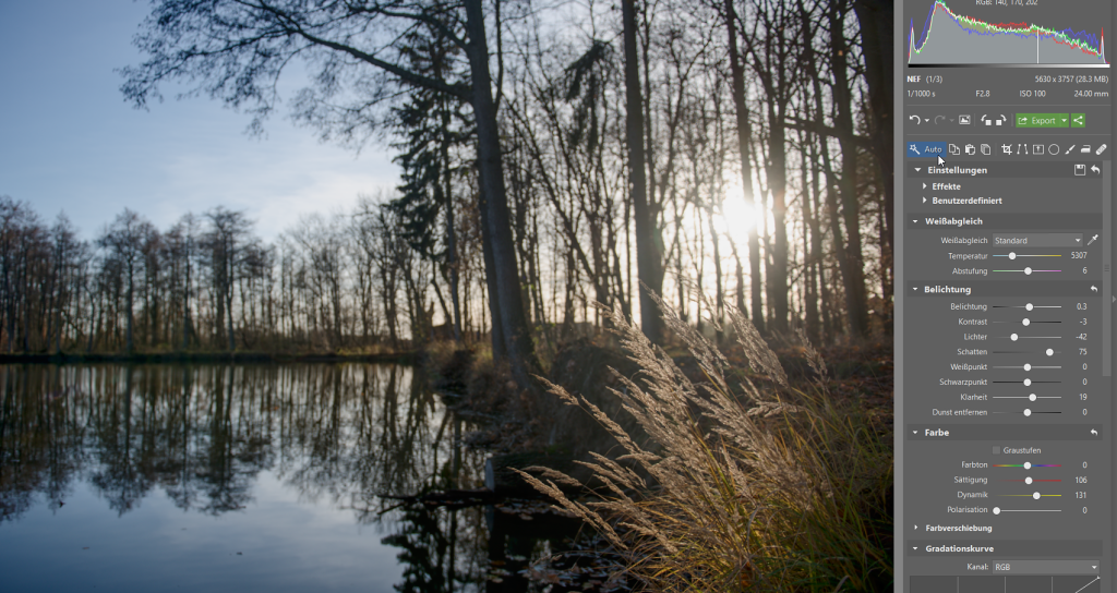 Wie bearbeitet man Fotos im RAW-Format: Die Automatische Verbesserung macht den Anfang.