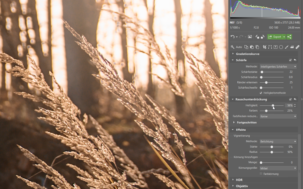 Wie bearbeitet man Fotos im RAW-Format: Rauschreduzierung und Erhöhung der Bildschärfe im Modul Entwickeln.