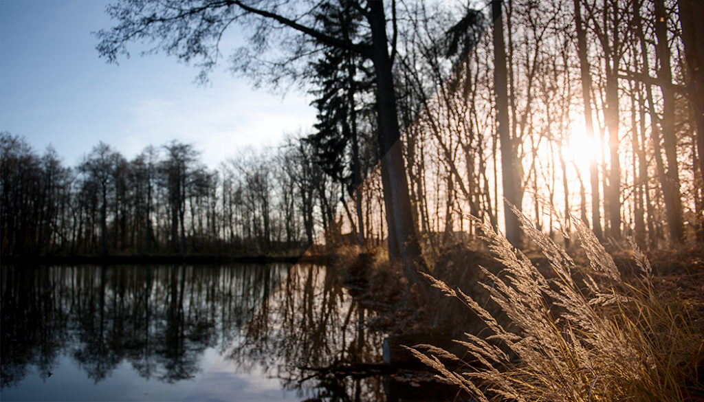 Wie bearbeitet man Fotos im RAW-Format Ein paar Klicks zum perfekten Foto
