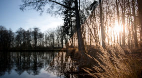 Wie bearbeitet man Fotos im RAW-Format Ein paar Klicks zum perfekten Foto
