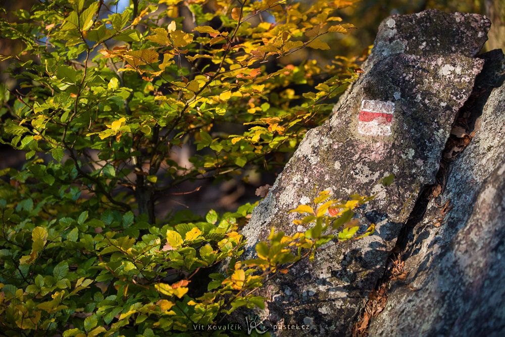 Canon 5D Mark III, Canon EF 70-200/2.8 IS II, 1/160 s, F2,8, ISO 100, Brennweite 95 mm
