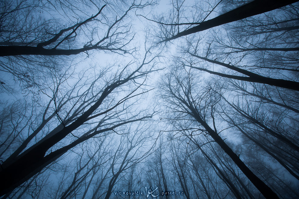 Canon 5D Mark III, Canon EF 16-35/2.8 II, 1/160 s, F5,6, ISO 100, Brennweite 16 mm