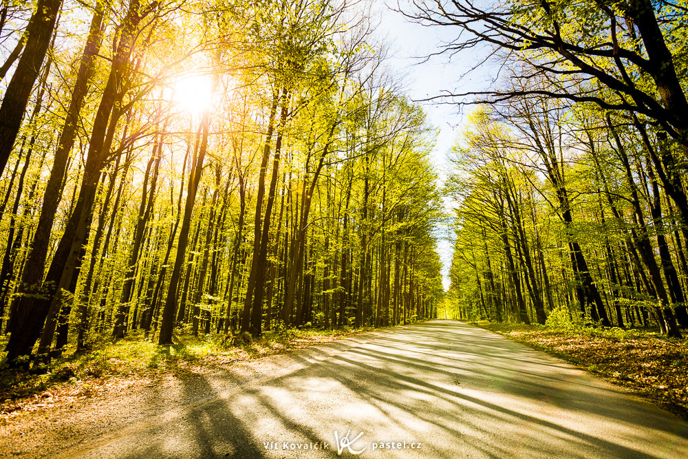 Canon 5D Mark II, Canon EF 16-35/2.8 II, 1/100 s, F6,3, ISO 100, Brennweite 17 mm