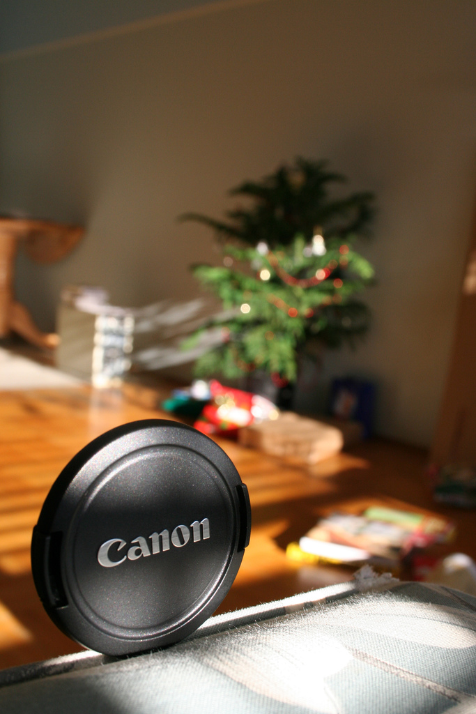 Foto: cabbit