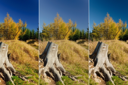 Entfernung der Vignettierung und weiterer Objektivmängel dank LCP (und DCP)