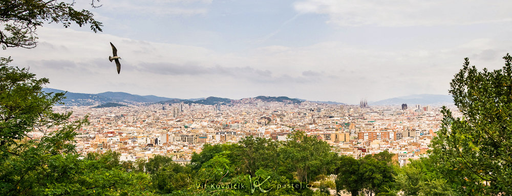Panoramabild von Barcelona zusammengesetzt aus 3 Aufnahmen. Die Aufnahme wurde vom Montjuic Hügel aus gemacht. Zufälligerweise flog gerade eine Möwe in der Nähe herum. Daher habe ich kurz gewartet bis Sie die richtige Position im Bild eingenommen hatte und dann den Auslöser betätigt.