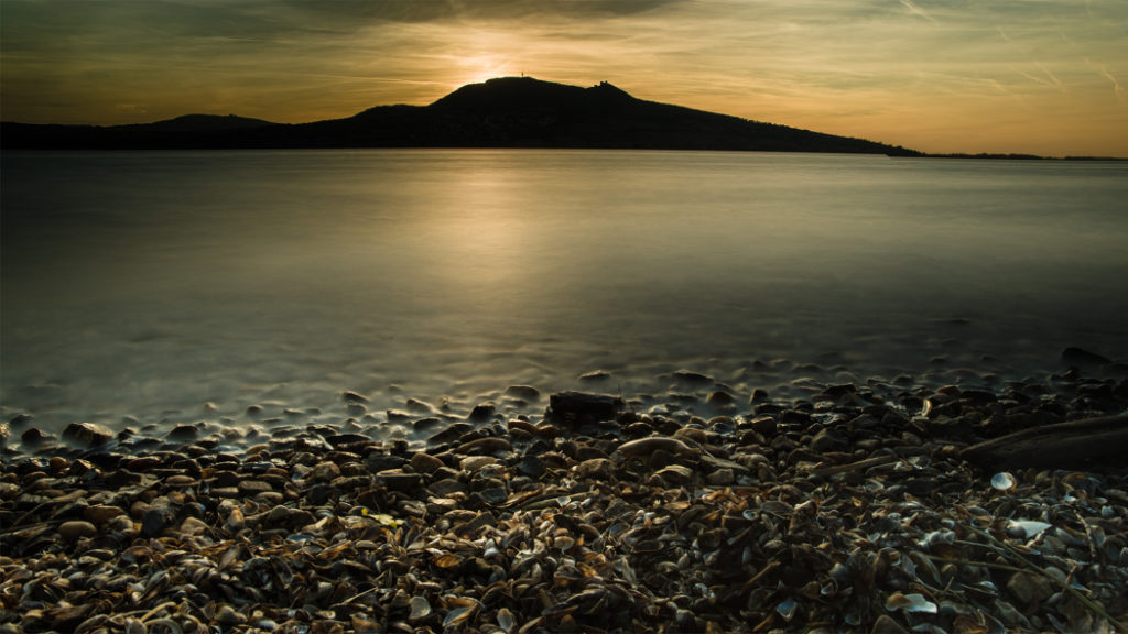 header - Palava