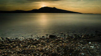 header - Palava