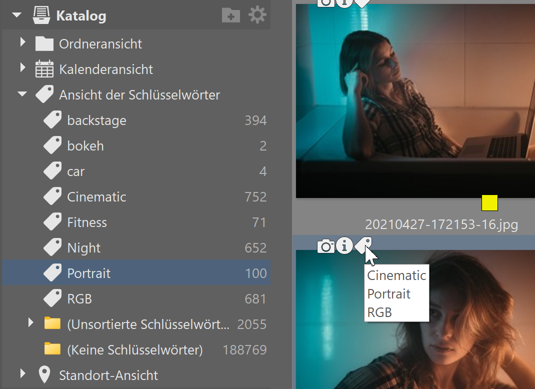 So arbeiten Sie mit dem Katalog in Zoner Studio