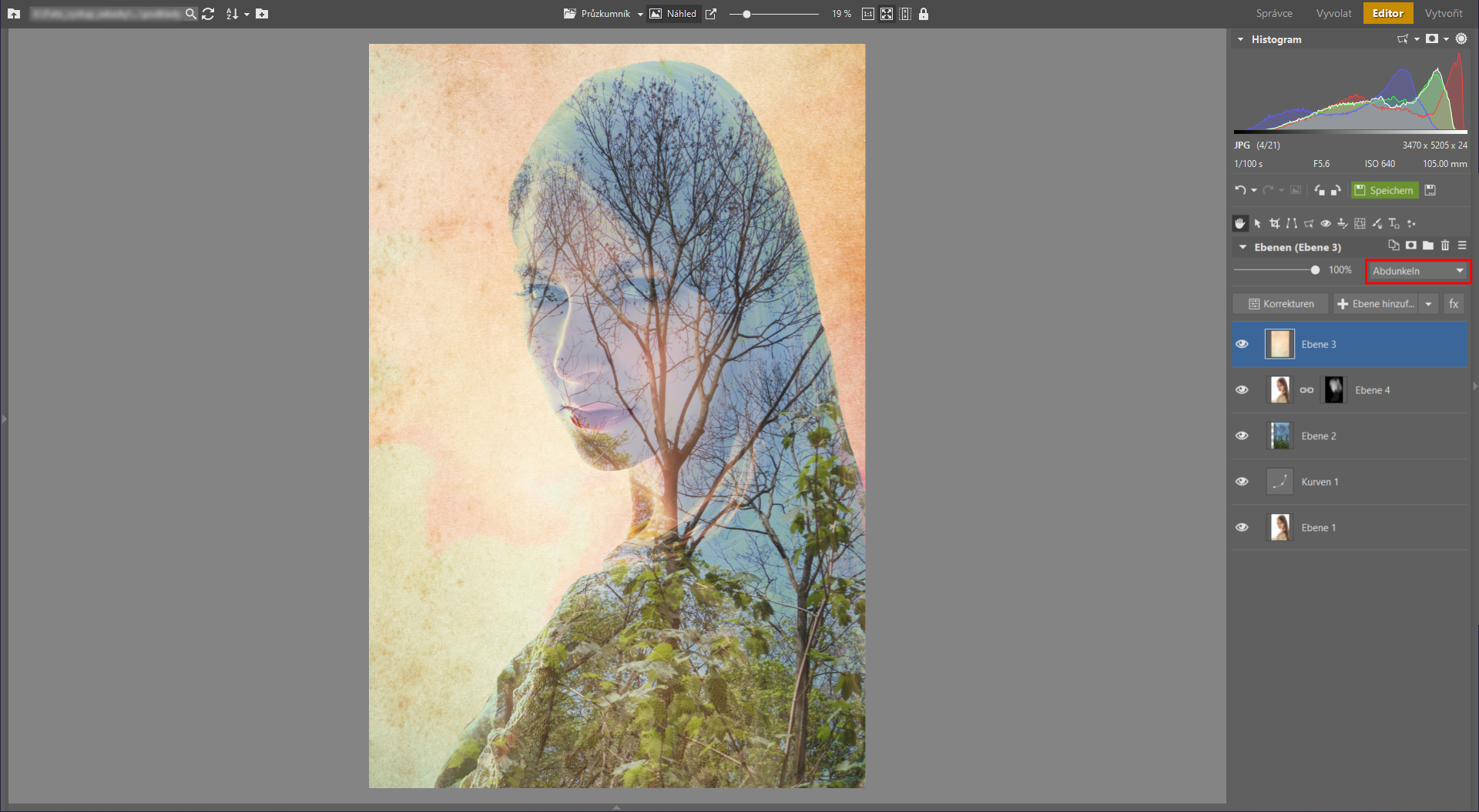 Erfahren Sie, wie Sie einen Doppelbelichtungseffekt in Zoner Studio erstellen