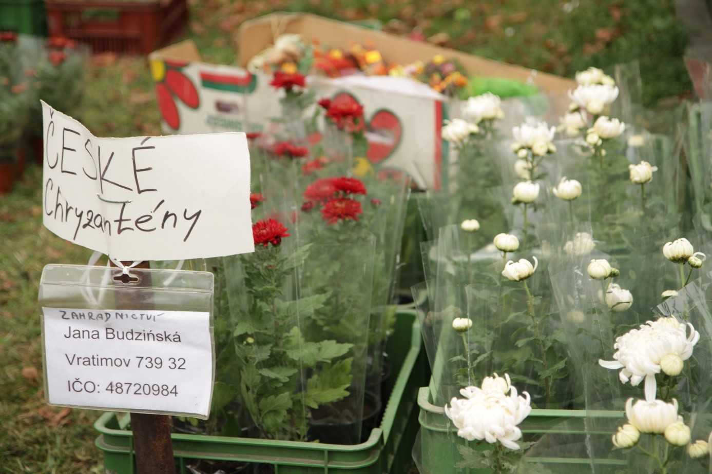 Fotojournalismus wenn die Schönheit eine nachrangige Rolle spielt
