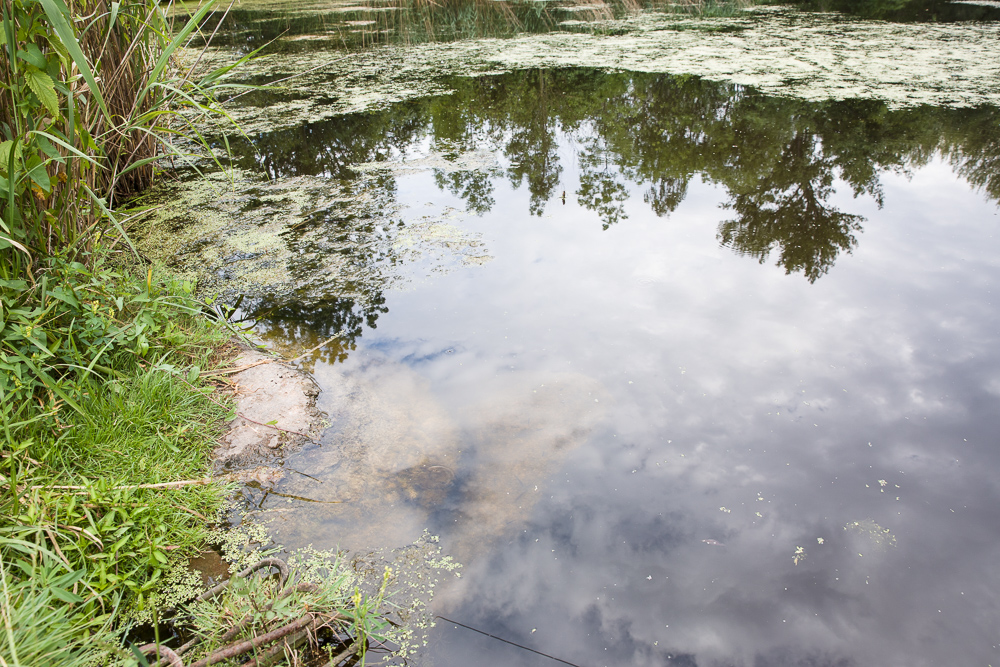 Ohne Polarisationsfilter.