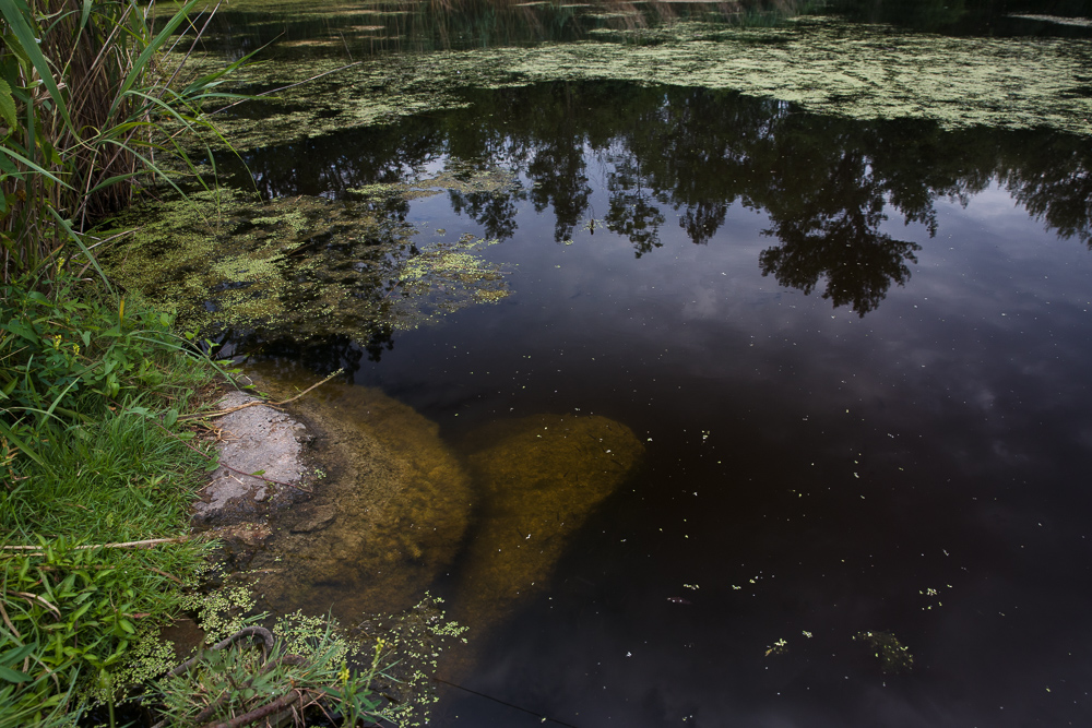 Mit Polarisationsfilter.