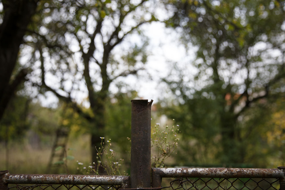 Bokeh Test im Freien.