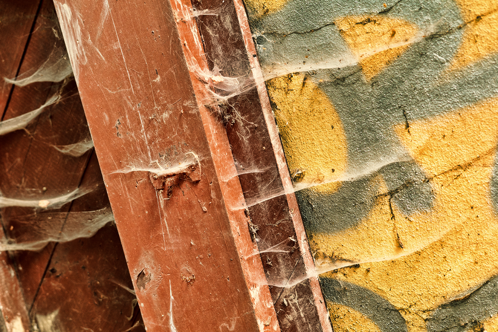 Gekonnte Anwendung der Fokusmethoden: Einzelautofokus, One Shot oder AF-S.