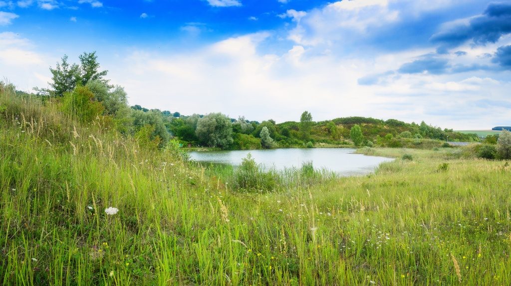 Erfahren Sie, wie man ein Panoramafoto erstellt: Ein fertiges Panoramabild.