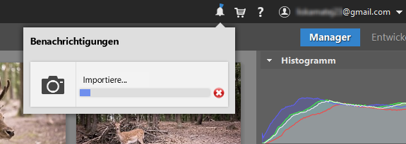 Wie man seine Fotos auf den Computer lädt: Den Verlaufsstatus können Sie beim Klick auf das Glocken-Icon rechts oben nachverfolgen.