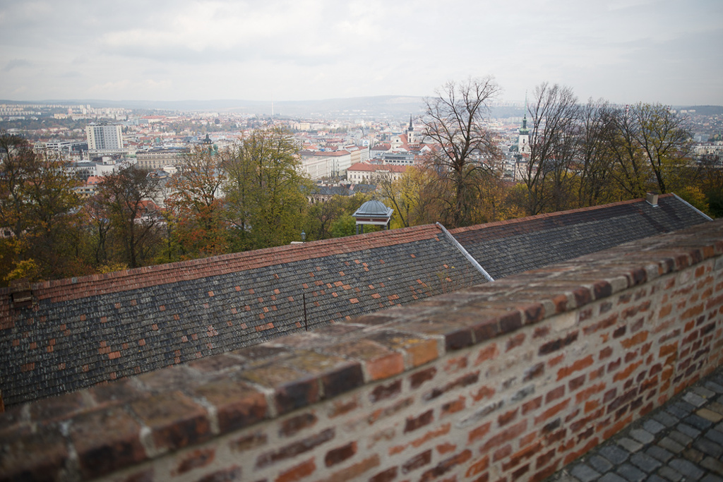 Erfahren Sie, wie sich ihr Cropfaktor unterscheidet: Canon 5D Mark IV mit einer Brennweite von 25.0 mm.
