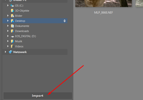 Wie man seine Fotos auf den Computer lädt: Klicken Sie auf den Button Import.