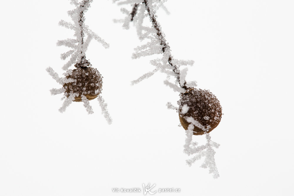 Raufrost, der in alle Richtungen zeigt.