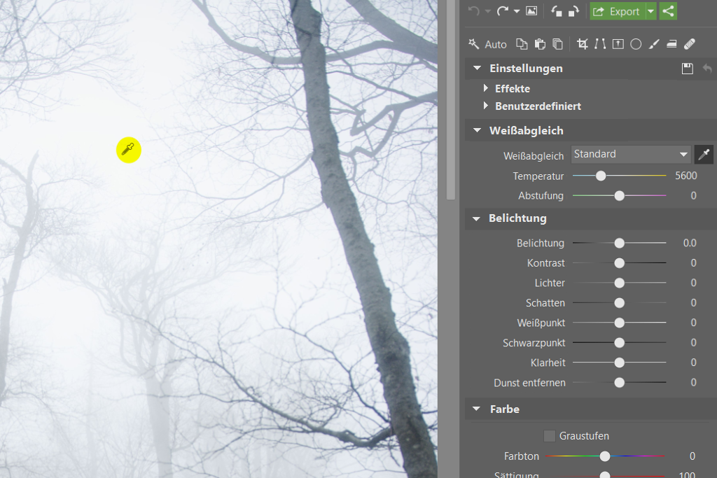 Wie fotografiert und bearbeitet man Landschafsaufnahmen mit Nebel: Weissabgleich.