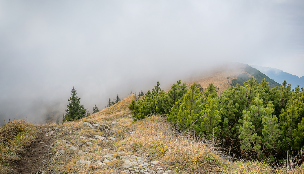 Wie fotografiert und bearbeitet man Landschafsaufnahmen mit Nebel