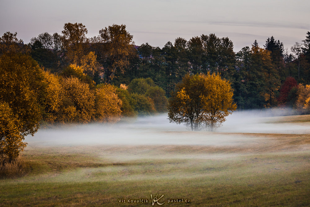 Wie man bei Nebel fotografiert: Auf diese Wiese bin ich zufällig auf meinem Heimweg gestoßen.