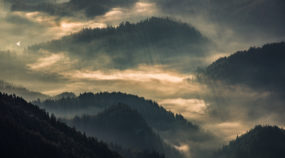 Neue Möglichkeiten, wie man bei Nebel fotografiert