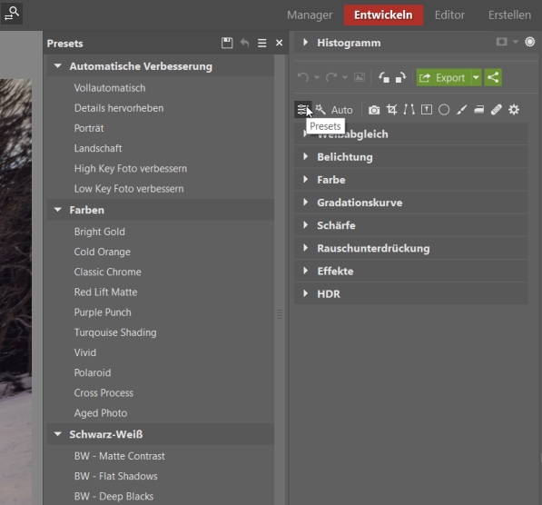 Presets: Die Presets finden Sie im Modul Entwickeln.