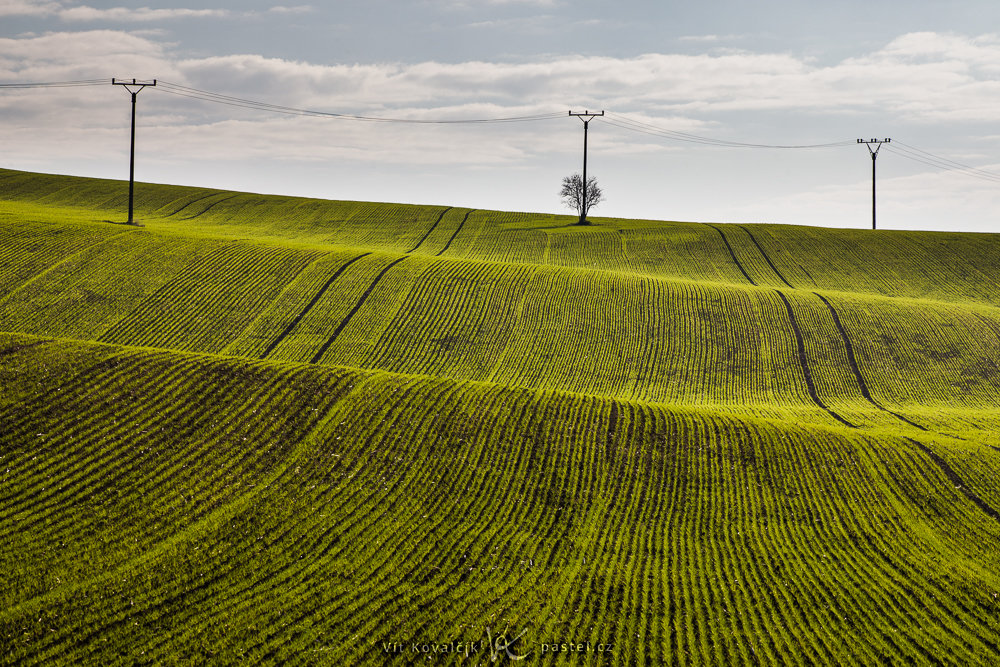 Landschaftsaufnahmen mit dem Teleobjektiv: Oberleitungsmasten auf den Feldern als Teil der Bildkomposition.