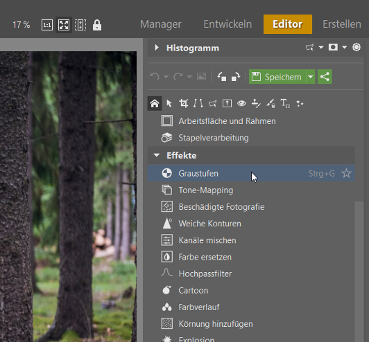 Schwarz-Weiß Fotos erstellen und bearbeiten: die Graustufen im Editor.