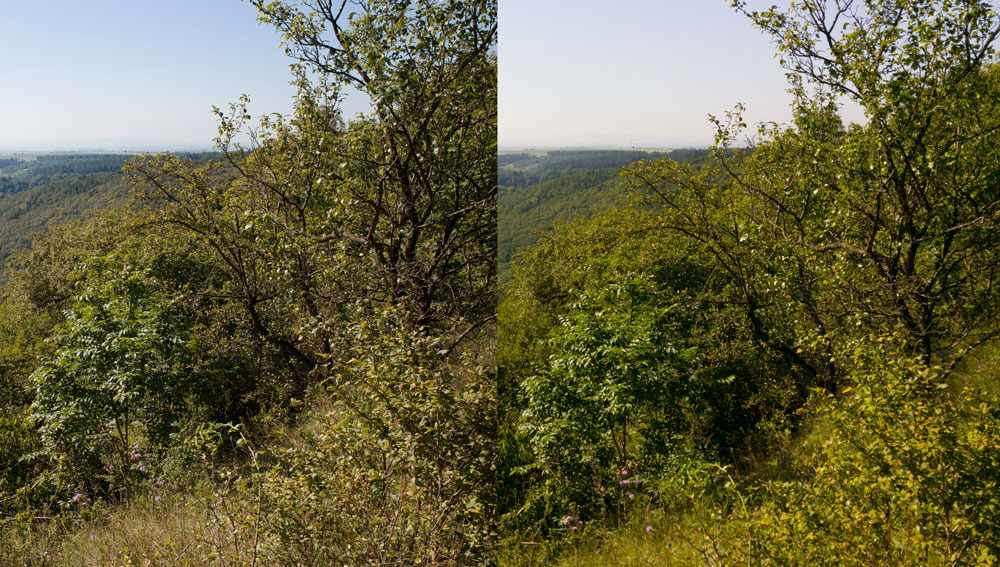 Zeit für ein Upgrade der Fotoausrüstung: Fotos von DSLR und von Smartphone.