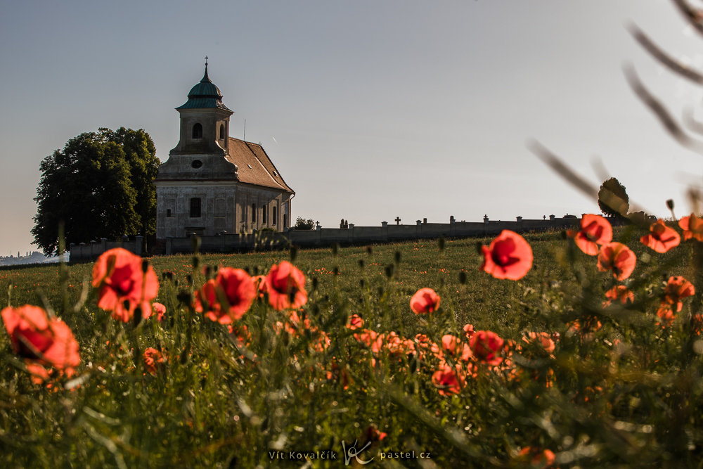 Wie verbessert man die Bildkomposition: Die Mohnblumen sind zwar immer noch ausdrucksstark, aber die Fokussierung lag auf der Kirche.