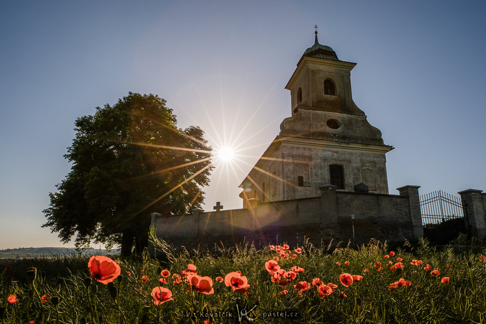 Wie verbessert man die Bildkomposition: Wieder Mohnblumen, aber viel näher an der Kirche.