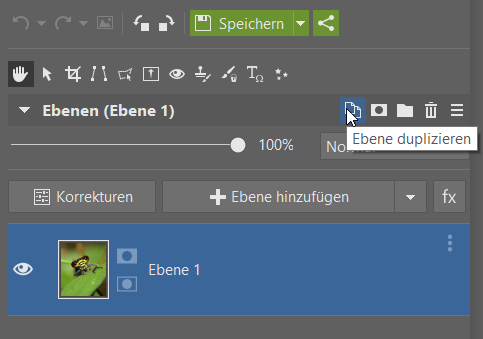 Fotos kreisrund und noch anders zuschneiden: Ebene duplizieren.