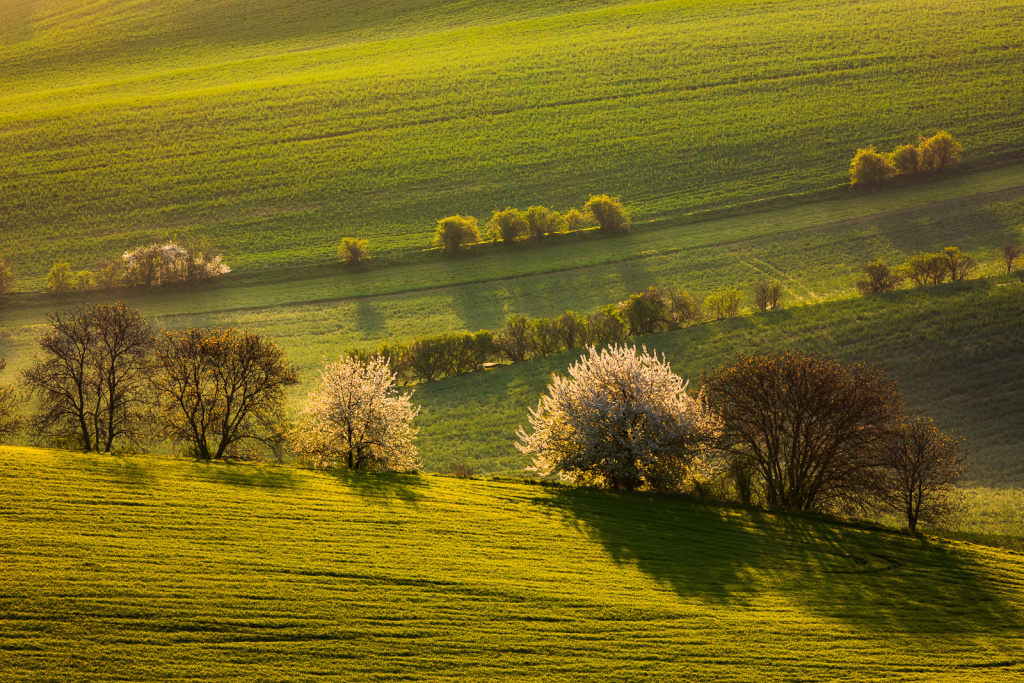 Landschaften unter unterschiedlichen Bedingungen fotografieren - die sonne oben