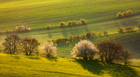Landschaften unter unterschiedlichen Bedingungen fotografieren I: Landschaften früh am morgen, am Abend und in der Nacht