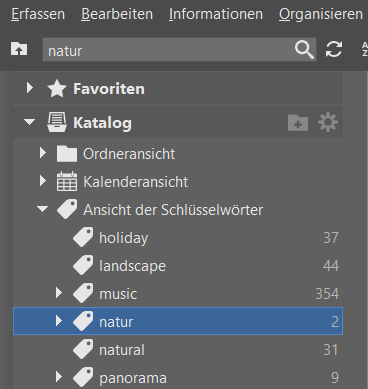 Bildverwaltung einfach gemacht dank Schlüsselwörtern: Hauptkategorien.