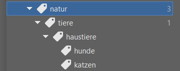 Bildverwaltung einfach gemacht dank Schlüsselwörtern: erstellen eine übersichtliche Struktur.