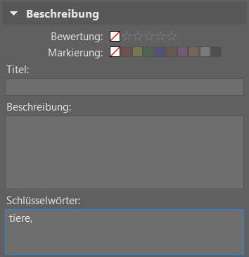 Bildverwaltung einfach gemacht dank Schlüsselwörtern: neue Schlüsselwörter.