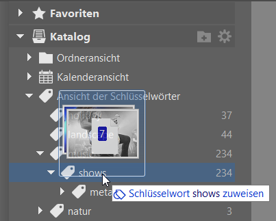 Bildverwaltung einfach gemacht dank Schlüsselwörtern: Schlüsselwört zuweisen.