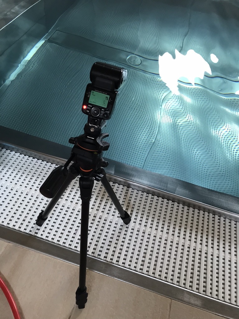 Wie fotografiert man unter Wasser - Blitz
