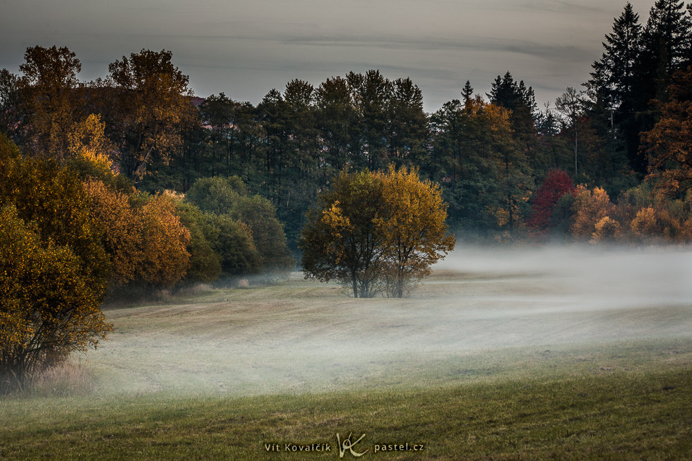 Landschaften während des Tages und bei Regen fotografieren: Nebel, auf den ich zufällig auf der Heimfahrt von einem Fotoshooting gestoßen bin.